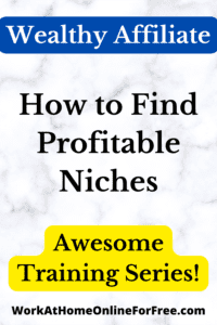 how to find profitable niches